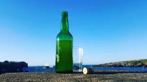 14199305_10210099300815653_6314110936343812543_n