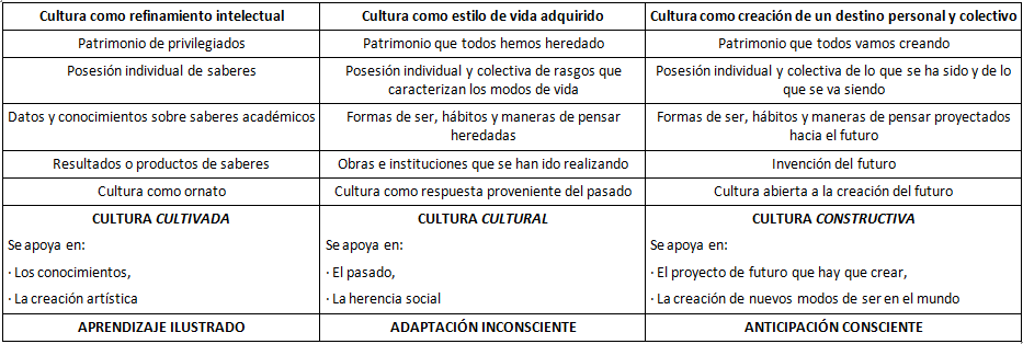 Diferentes visiones de la cultura